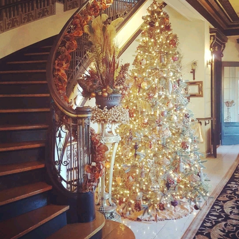 Meet your Posher, Daisy